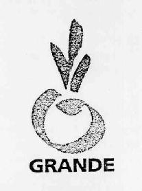 Imagen de GRANDE