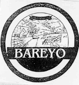 Imagen de BAREYO
