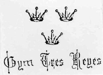 Imagen de GYM TRES REYES