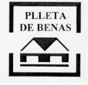 Imagen de PLLETA DE BENAS