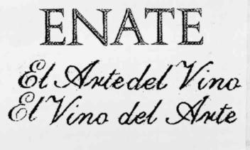 Imagen de ENATE EL ARTE DEL VINO EL VINO DEL ARTE