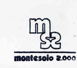Imagen de MS2 MONTESOLO 2.000