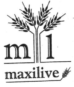 Imagen de M L MAXILIVE