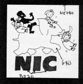 Imagen de NIC
