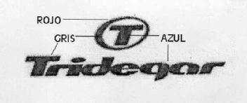 Imagen de T TRIDEGAR