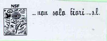 Imagen de NSF ...NON SOLO FIORI..., S.L