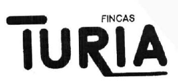 Imagen de FINCAS TURIA