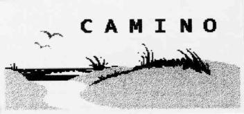 Imagen de CAMINO