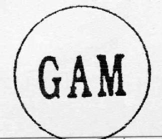Imagen de GAM