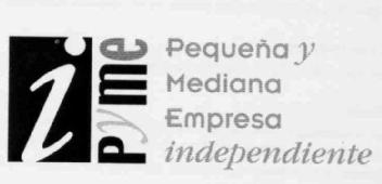 Imagen de I PYME PEQUEÑA Y MEDIANA EMPRESA INDEPENDIENTE