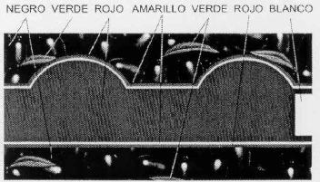 Imagen de M2299767