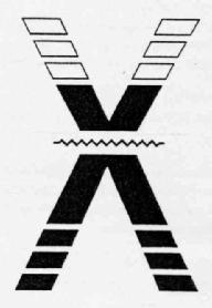 Imagen de X
