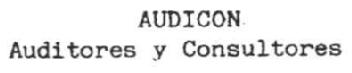 Imagen de AUDICON AUDITORES Y CONSULTORES