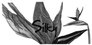 Imagen de SILKY