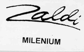 Imagen de ZALDI MILENIUM
