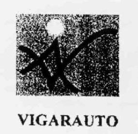 Imagen de VIGARAUTO