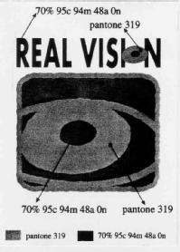 Imagen de REAL VISION