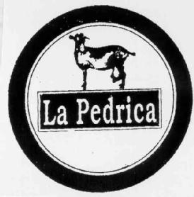 Imagen de LA PEDRICA