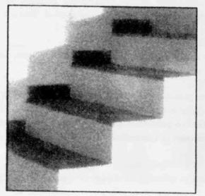 Imagen de M2302159
