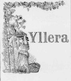 Imagen de YLLERA