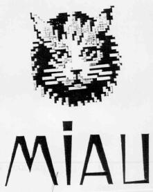 Imagen de MIAU