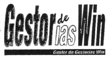 Imagen de GESTOR DE GESTORIAS WIN