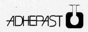 Imagen de ADHEPAST