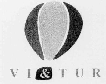 Imagen de VI&TUR