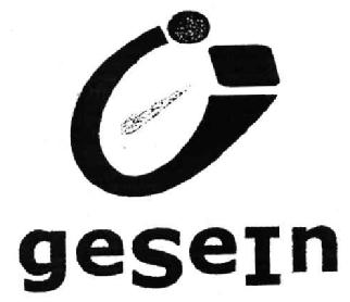Imagen de GESEIN