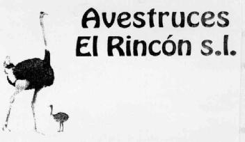 Imagen de AVESTRUCES EL RINCON S.L