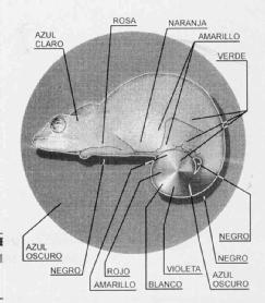 Imagen de M2307431