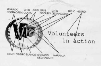 Imagen de VIA VOLUNTEERS IN ACTION