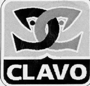 Imagen de CLAVO
