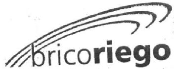 Imagen de BRICORIEGO