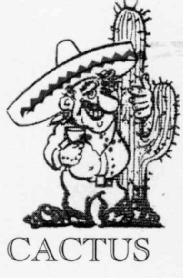Imagen de CACTUS