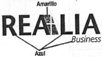 Imagen de REALIA BUSINESS