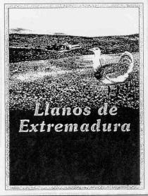 Imagen de LLANOS DE EXTREMADURA