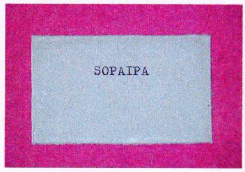 Imagen de SOPAIPA