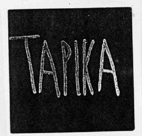 Imagen de TAPIKA