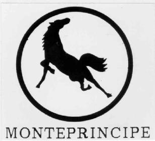 Imagen de MONTEPRINCIPE