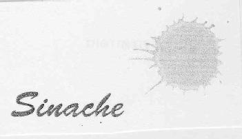 Imagen de SINACHE