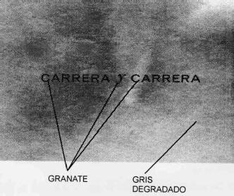 Imagen de CARRERA Y CARRERA