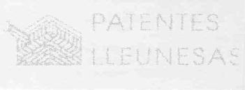 Imagen de PATENTES LLEUNESAS
