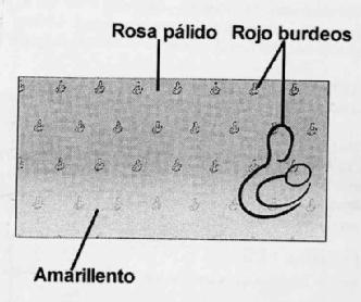 Imagen de M2316155
