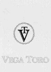 Imagen de VEGA TORO VT