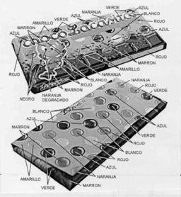 Imagen de CHOCOLACASITOS