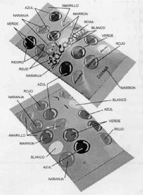 Imagen de LACASITOS
