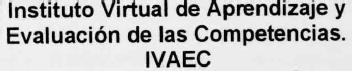 Imagen de INSTITUTO VIRTUAL DE APRENDIZAJE Y EVALUACION DE LAS COMPETENCIAS IVAEC