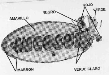Imagen de INCOSUR