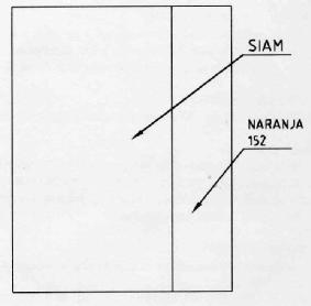 Imagen de M2319779(X)